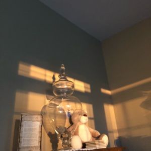 Meet your Posher, Beth